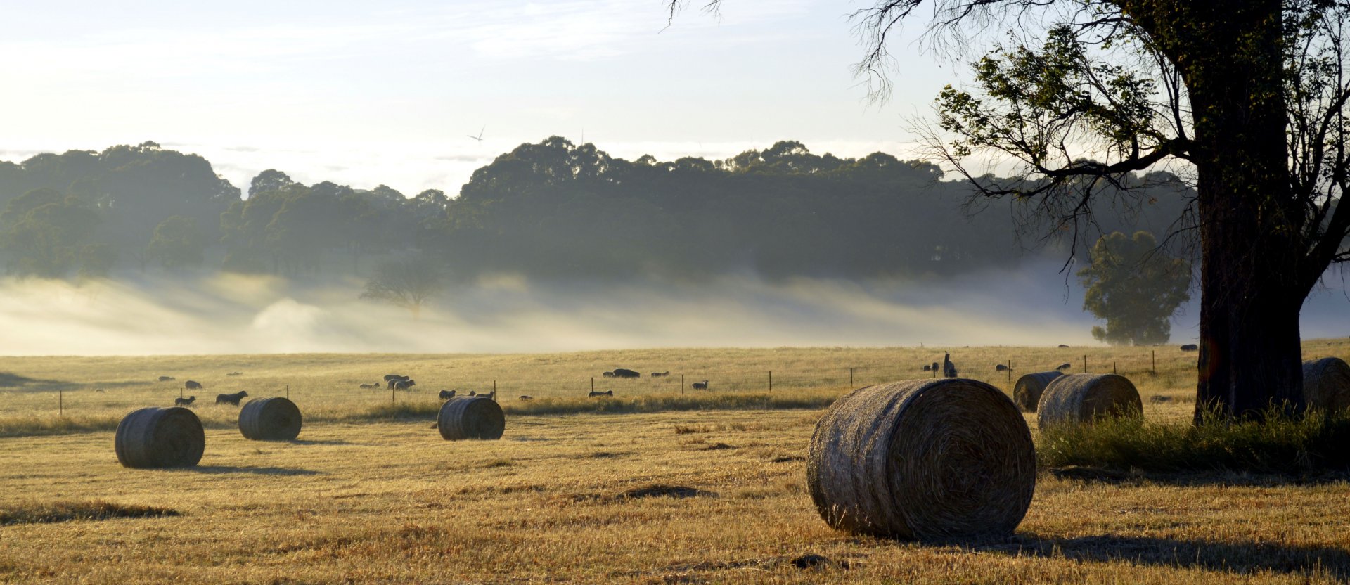 Selling Land Is Different Than Selling A Atlanta House