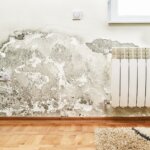 Selling a House With Mold in Texas