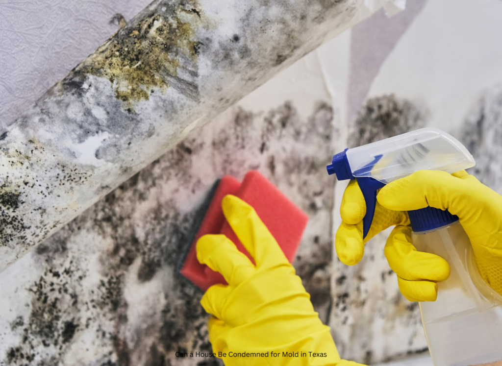House Condemned for Mold In Texas