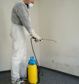 House Mold Remediation In Texas