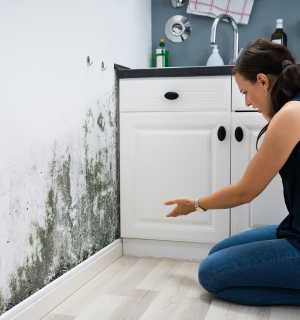 Mold Damage In Texas