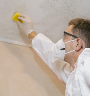 Mold Remediation In Texas