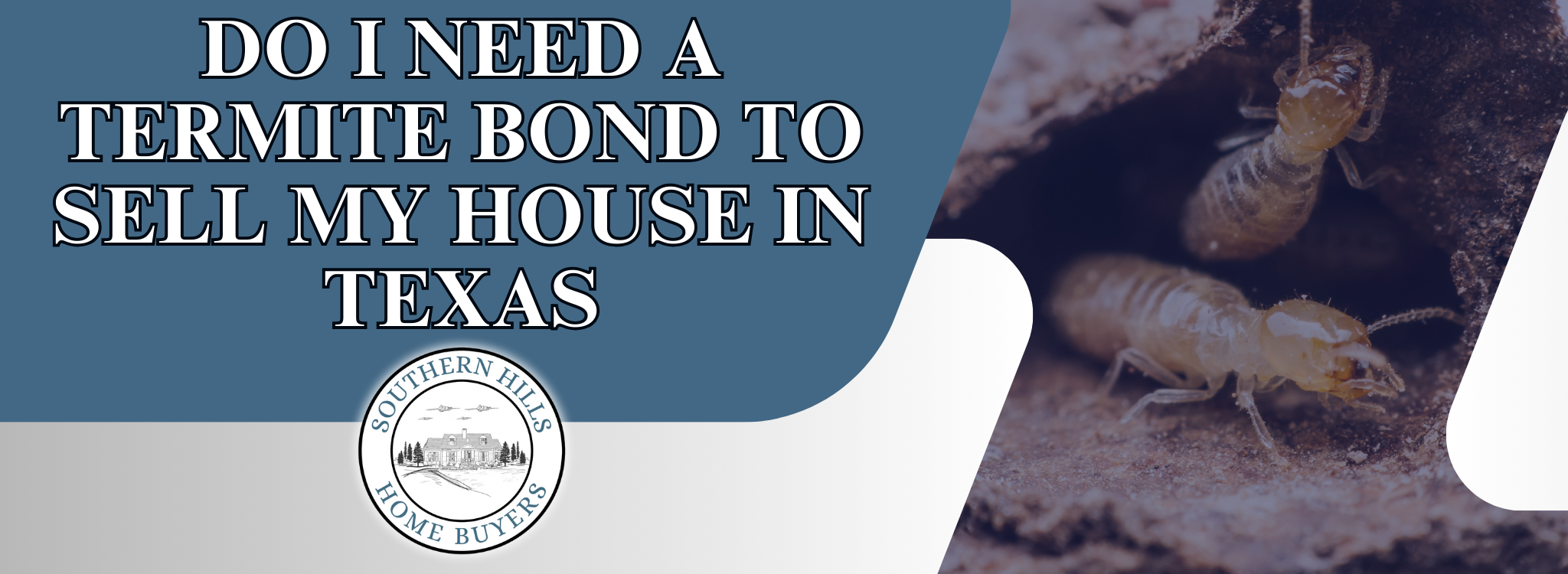 Do I Need a Termite Bond When Selling My House In Texas