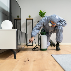 Do I Need a Termite Bond When Selling My Property In Texas