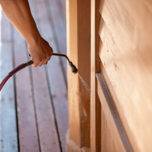 Is a Termite Bond Required to Sell My Home In Texas
