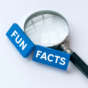 Quick Facts in Dallas, Texas