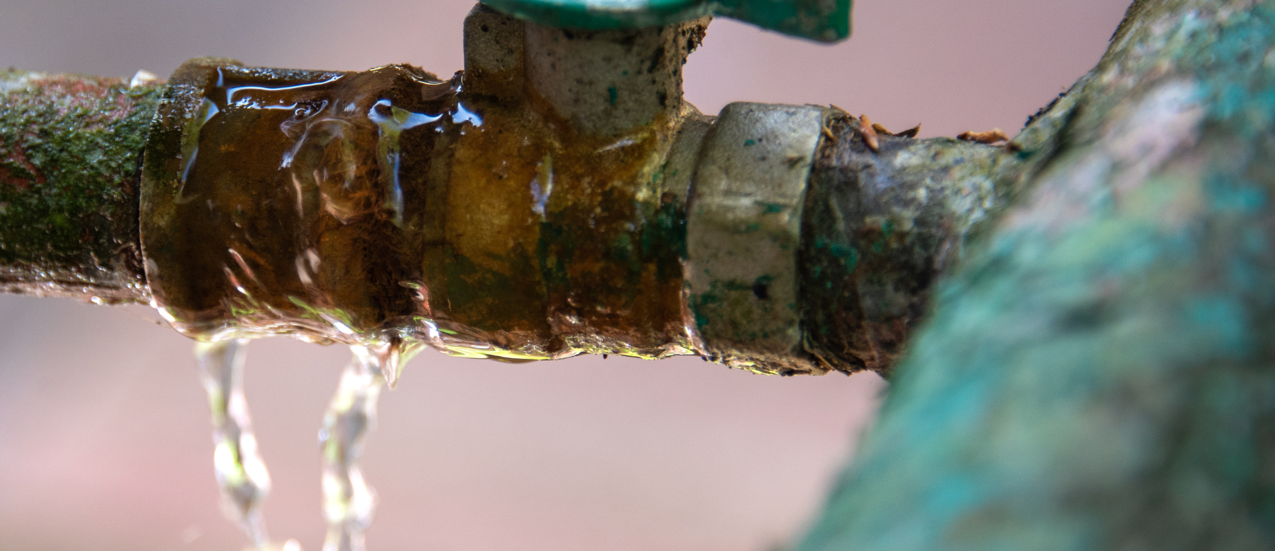 Seller Omitted Water Damage Disclosure In Texas