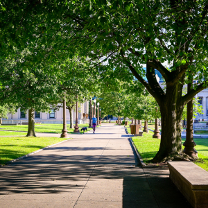 Budget-Friendly Things to Do In Plano
