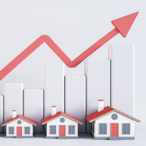 how to calculate excise tax Plano