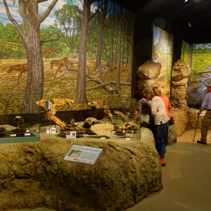 Budget-Friendly Things to Do In Burleson