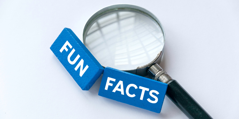 Cool Facts in [market_city]