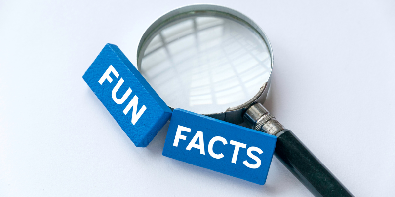 Cool Facts Burleson, TX