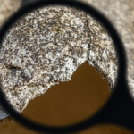 Selling a House That Has Asbestos in Garland, TX