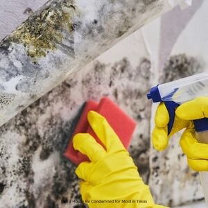 House Condemned for Molds in Texas