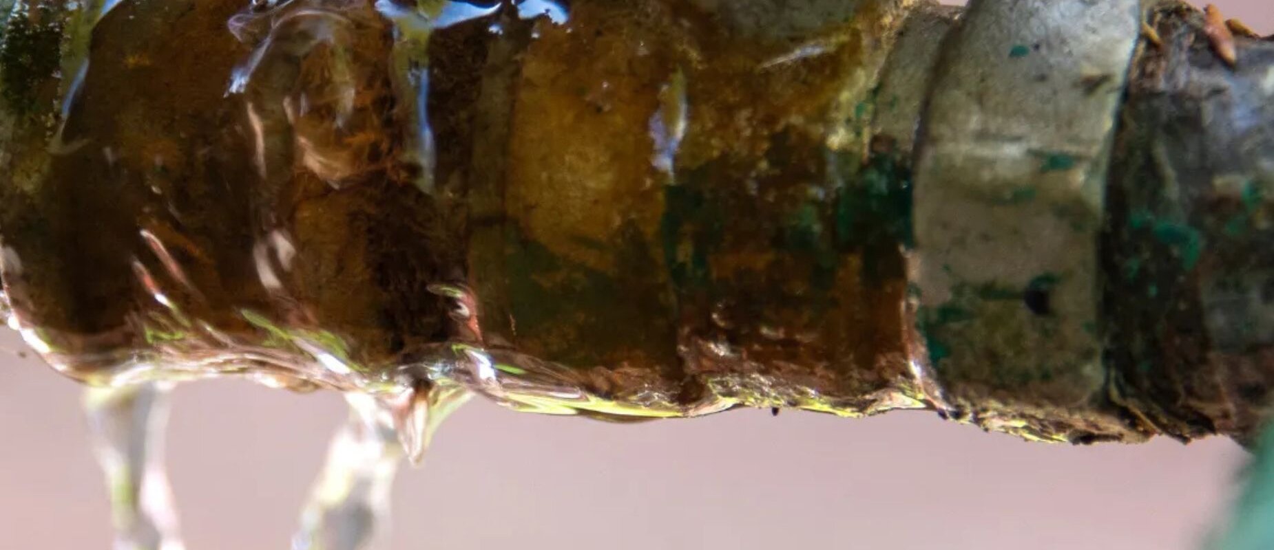 Seller Omitted Water Damages Disclosure in Texas