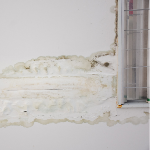 Selling a Home with Standing Water in the Crawl Space [market_city}