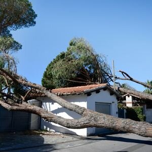 Selling a Storm-Affected House in Texas