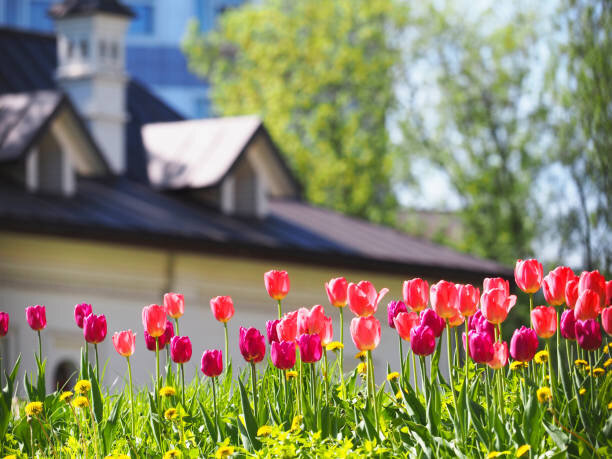 How Belleville Agents and Investors are Working Together to Help Homeowners in Belleville
