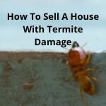 sell termite damage house