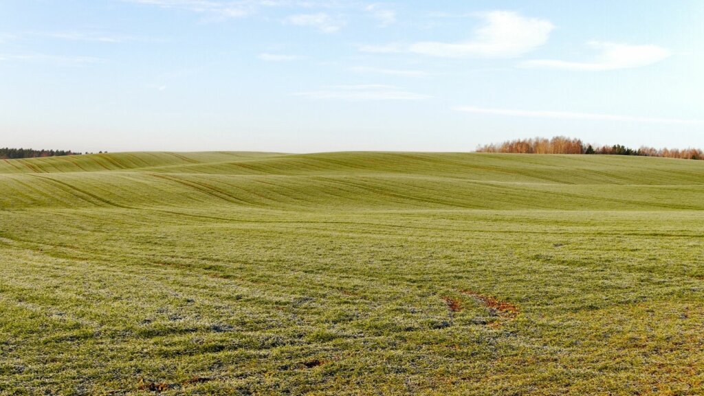sell your inherited land in North Texas