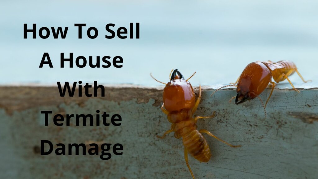 sell a house with termite damage