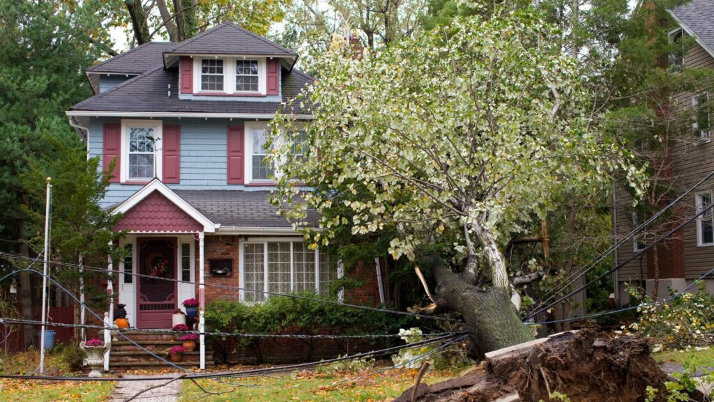 Selling a Distressed Property