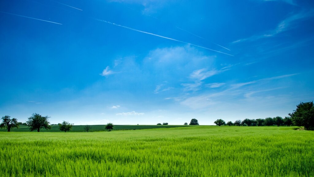 reasons to sell your land in texas