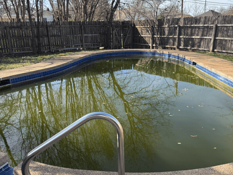 pool green