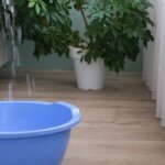 Selling Your House With Water Damage San Antonio