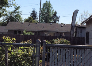 This old house has 3 plumbing vents, 1 stack and 6 air vents.