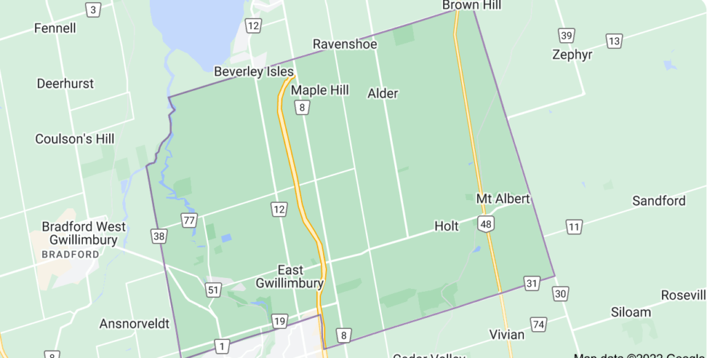 East Gwillimbury, Ontario map