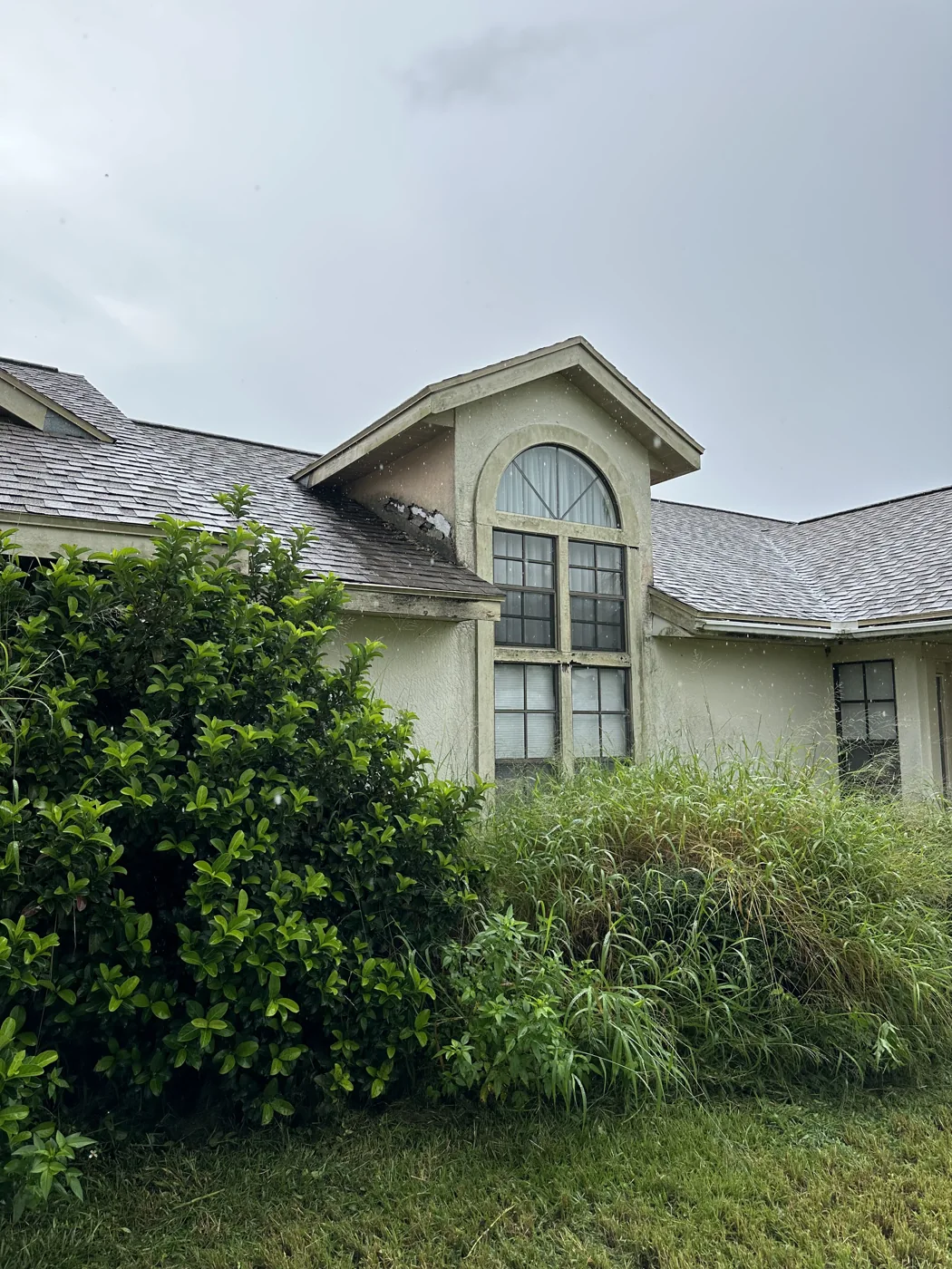 Tall front window beneath the roof gable with shrubs below