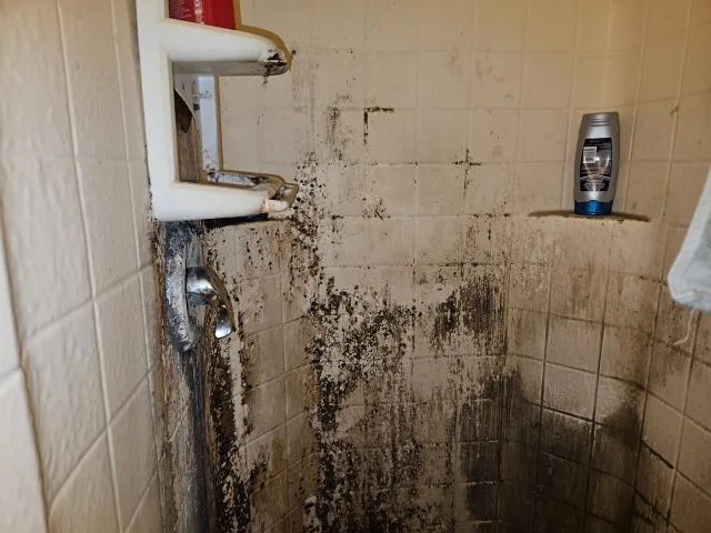 Shower with visible surface discoloration at 2077 Dogwood St in Palm Bay, Florida, before renovation