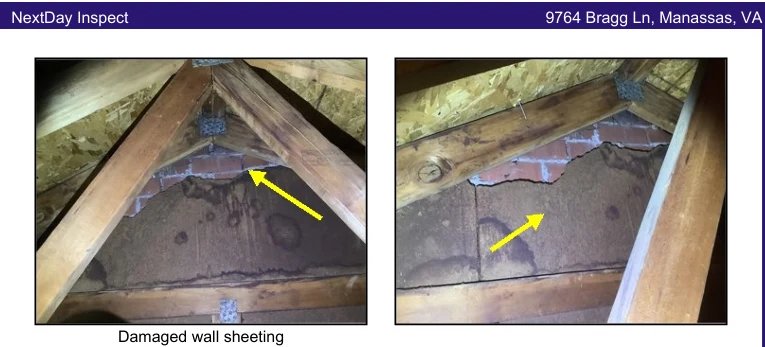 Owner-supplied inspection excerpt showing damaged wall sheeting at 9764 Bragg Lane