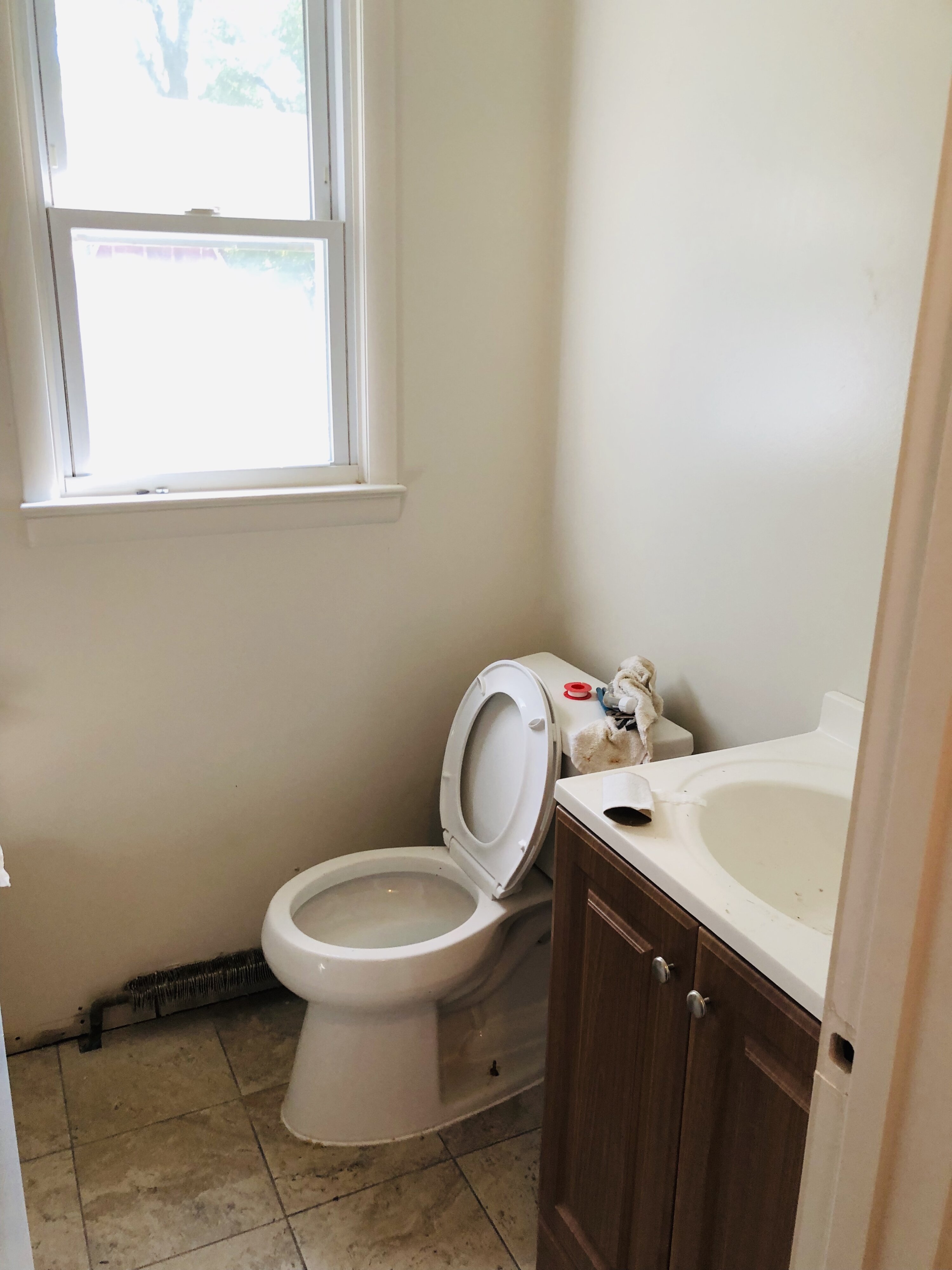 Bathroom at 14317 Ferndale Rd before updates, showing the vanity and toilet