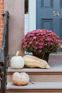 Updated front door with curb appeal