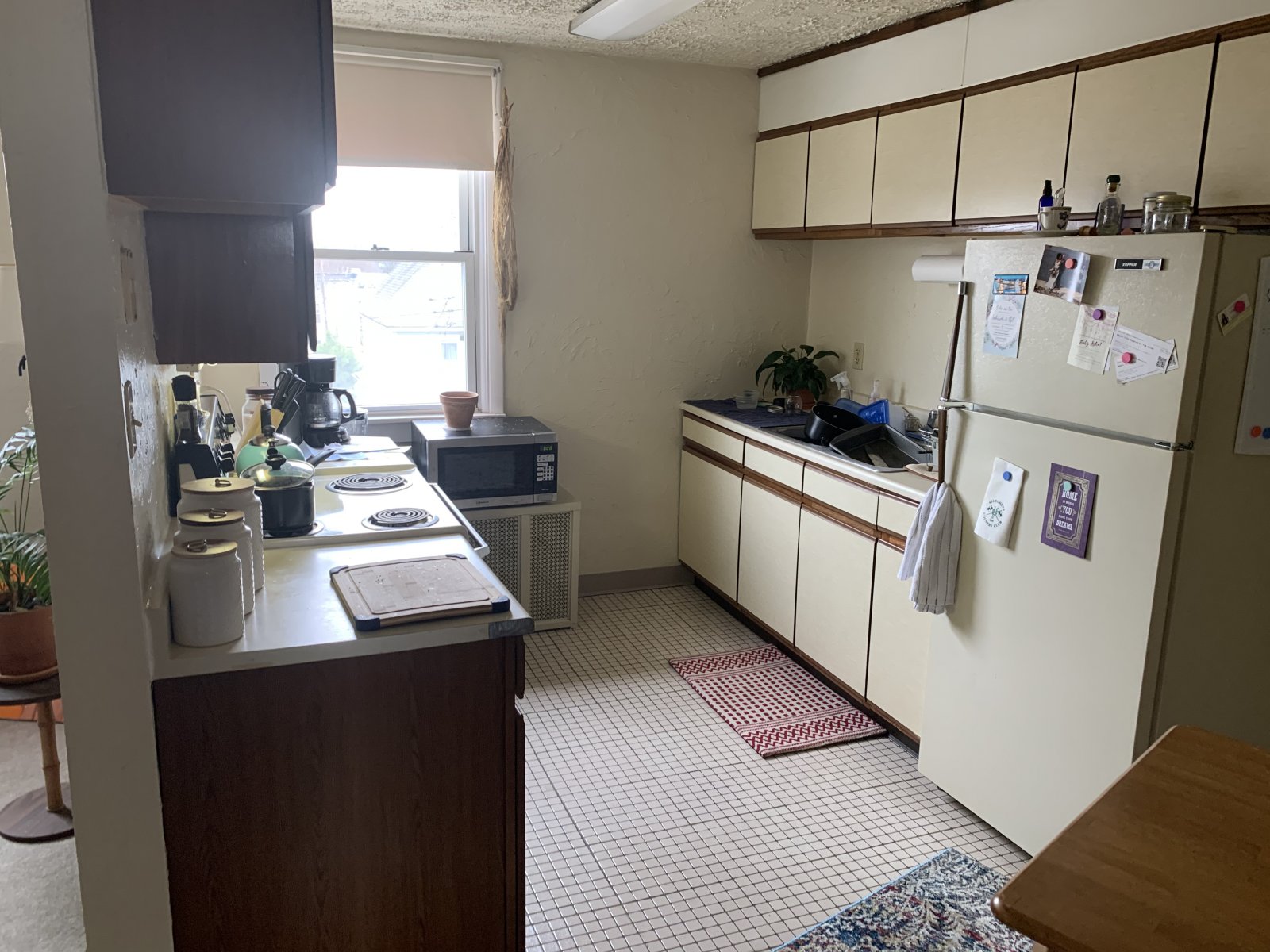 243 Homestead St. Swisshelm Park Triplex Arcadian Realty Group