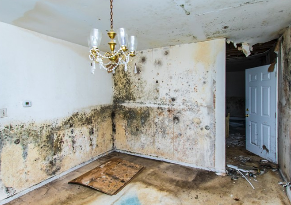 sell a home with mold