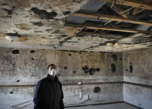 sell a house with mold