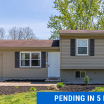 Market Update - COVID-19