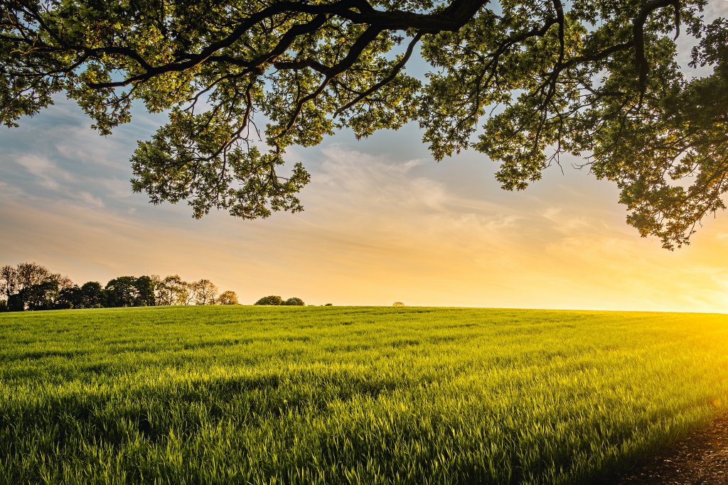 6 Things You Should Know About Buying Land in Greater Cincinnati Area or Northern Kentucky