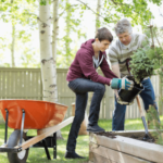 Ways To Completely Transform Your Home- Landscaping
