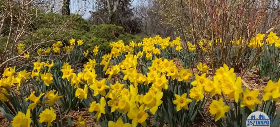 Best Cincinnati Parks - Flowers