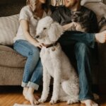 Tips For Selling Your House With Pets In Greater Cincinnati- family pet