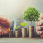 Maximize Profits When Selling Your House - Financial Gain