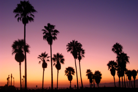 Los Angeles vs Cincinnati-