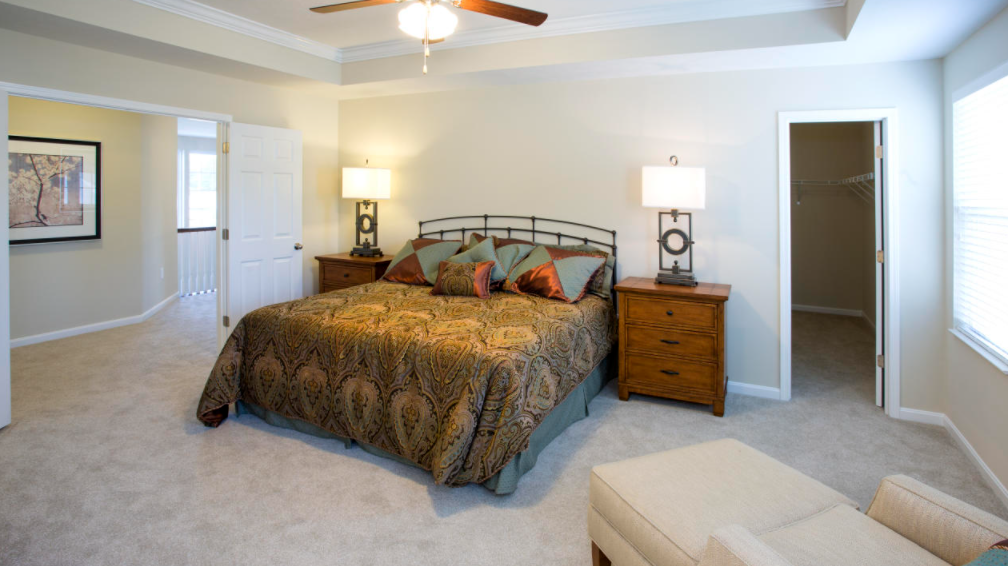 Chatham by Maronda Homes- Tray Ceiling