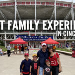 American Ball Park- Family Sztanyo