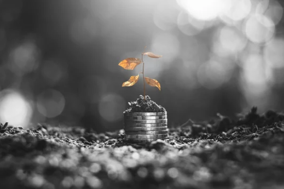Home Ownership Can Help to Shield You From Inflation- Buy a house