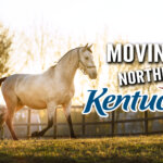 Moving to Northern Kentucky - What You Need to Know